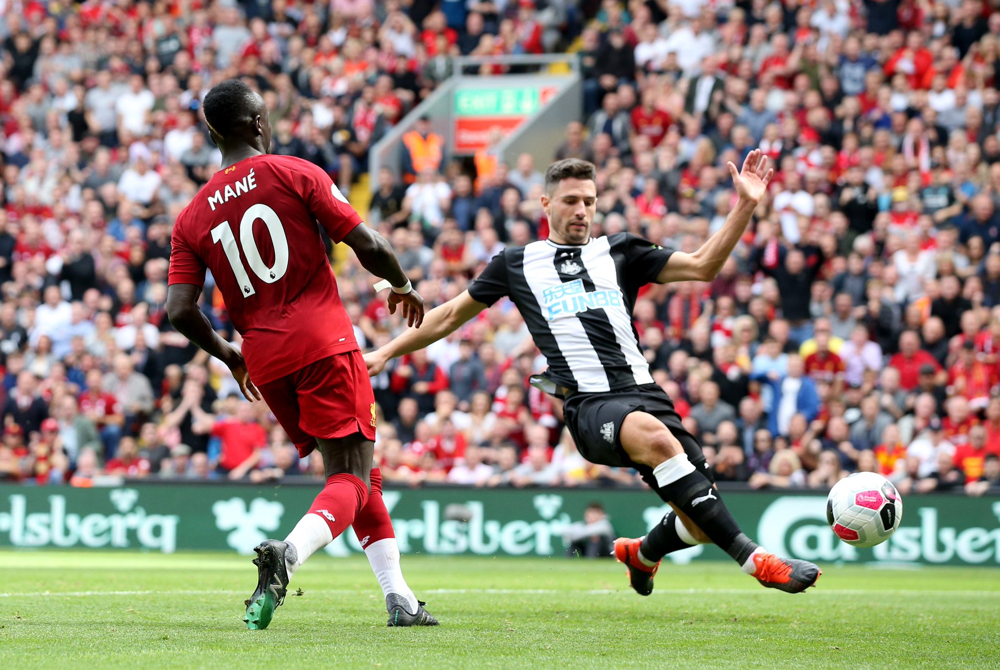 的情感共鸣 的情感共鸣